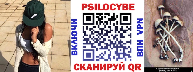 Галлюциногенные грибы MAGIC MUSHROOMS  Сковородино 